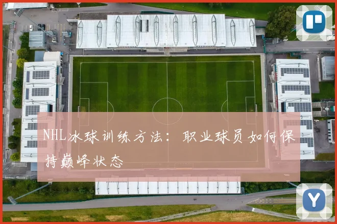 NHL冰球训练方法:职业球员如何保持巅峰状态