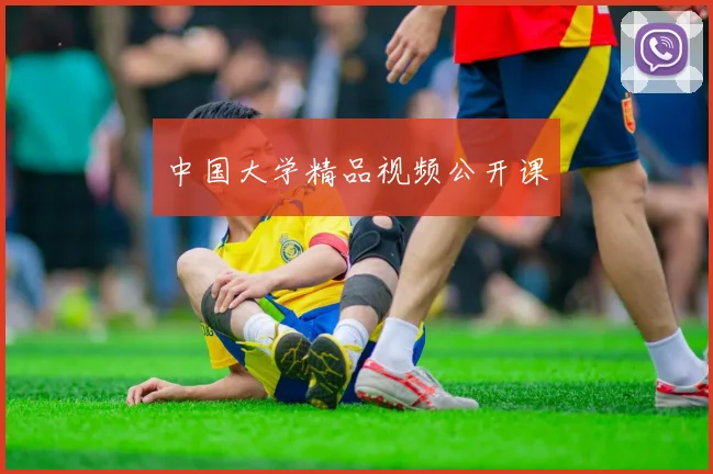 中国大学精品视频公开课