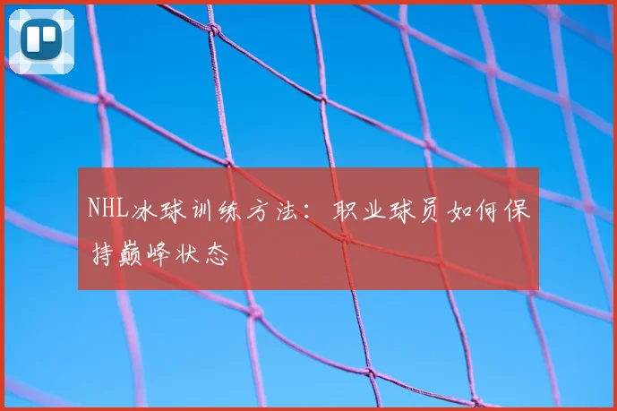 NHL冰球训练方法:职业球员如何保持巅峰状态