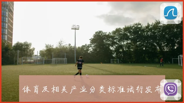 体育及相关产业分类标准试行发布
