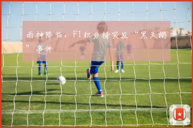 雨神降临，F1积分榜突发“黑天鹅”事件