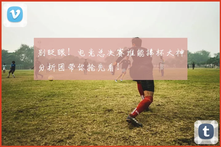 别眨眼！电竞总决赛谁能捧杯大神分析团带你抢先看！