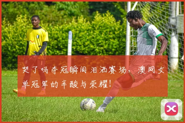 哭了吗夺冠瞬间泪洒赛场，澳网女单冠军的辛酸与荣耀！
