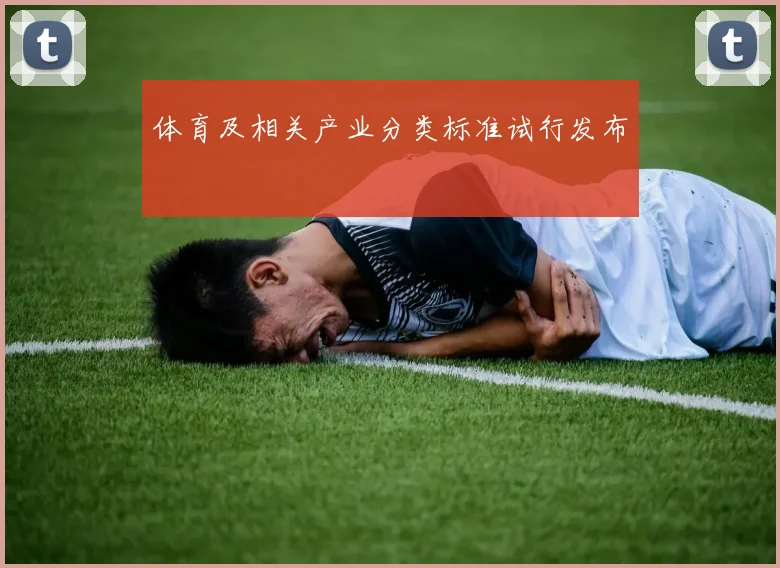 体育及相关产业分类标准试行发布