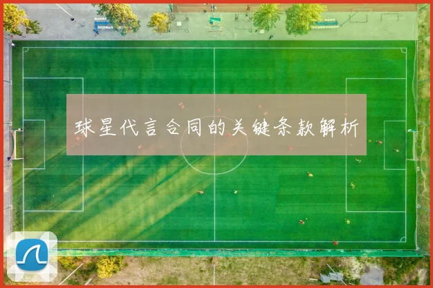 球星代言合同的关键条款解析